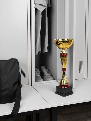 Кубок Awardee, большой, красный - рис 6.