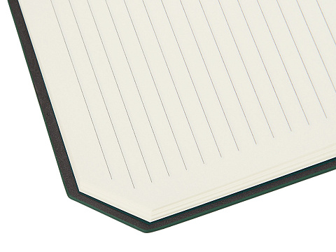 Блокнот А5 в гибкой обложке Chaplin, зеленый - рис 10.