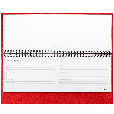 Планинг Sagrin, датированный, красный - рис 5.