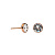 Пусеты Crystal Fiore Luna SWE297 C RG - миниатюра