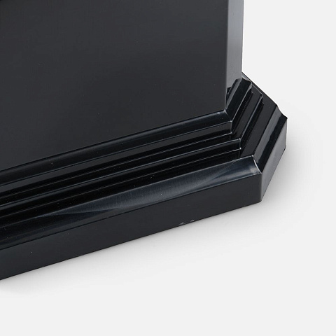 Кубок Recordsman, золотистый - рис 5.