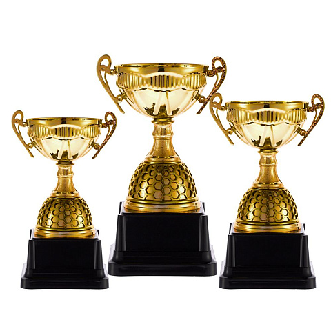 Кубок Meritus, средний, золотистый - рис 5.