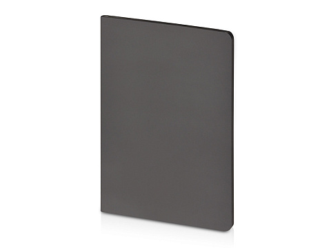 Бизнес-тетрадь А5 Pragmatic Contrast, 40 листов в клетку, серый с черным срезом