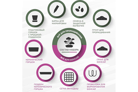 Набор для создания домашнего мини сада бонсай ( 7 видов) - рис 3.
